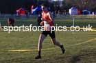 Senior mens 2025 Northern Cross Country Champs, Tatton Park, Knutsford, Cheshire. Photo: David T. Hewitson/Sports for All Pics